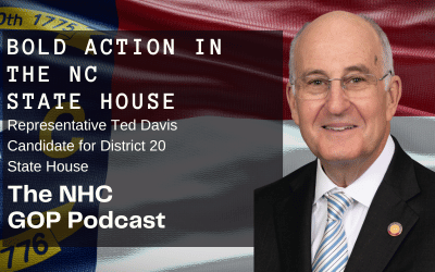 Bold Leadership in the NC State House – Ted Davis for NC 20