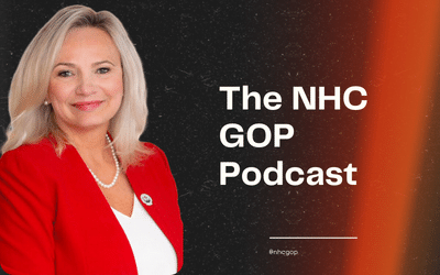 Executive Experience: LeAnn Pierce for NHC County Commissioner